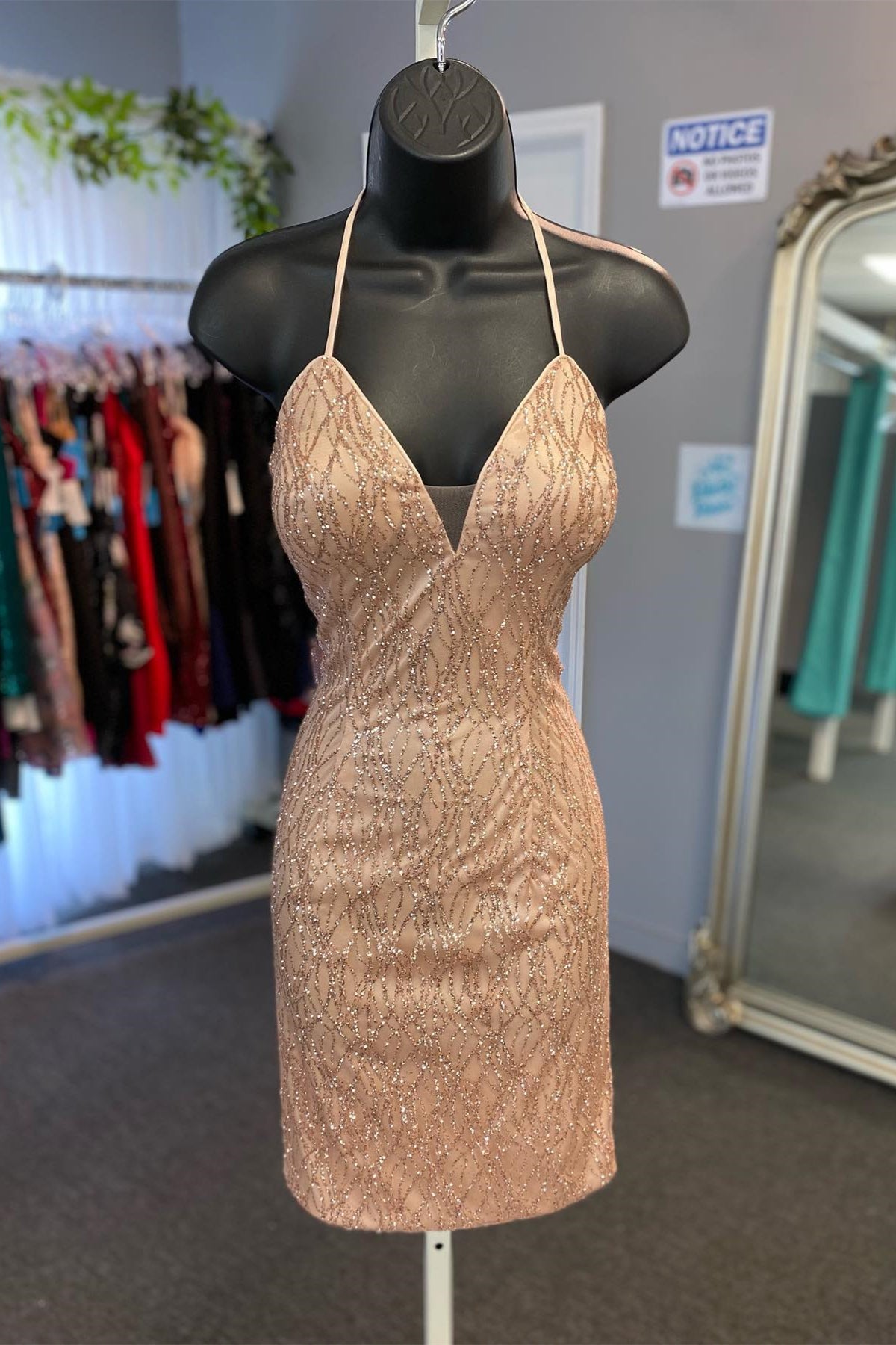 Blush Pink V Neck Straps Beaded Sheath Homecoming Dress