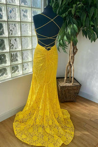 Elegant Mermaid Royal Blue Lace Prom Dress